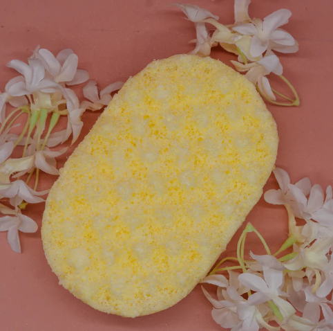 Daisies Soap Sponge - Rainbow Fun