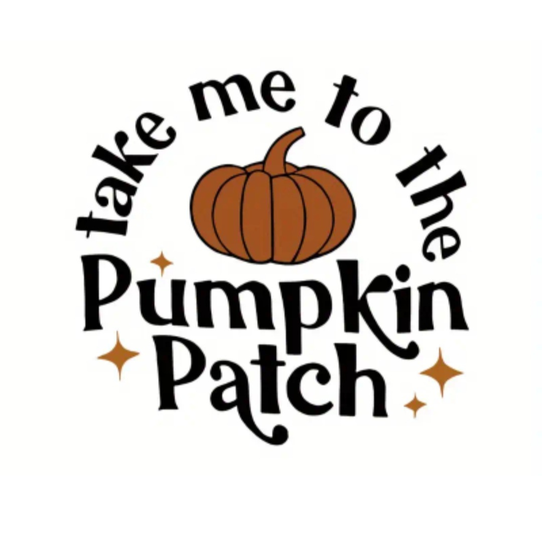 Take me to the Pumpkin Patch Jumper - My Store